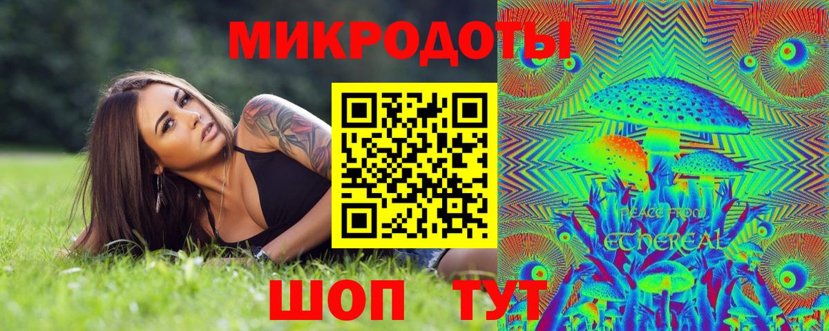 Псилоцибиновые грибы Cubensis Пенза